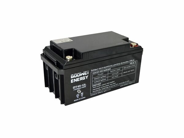 Trakční (AGM) baterie GOOWEI ENERGY OTL65-12, 65Ah, 12V