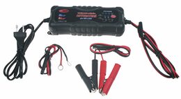 x Autonabíječka 12V & 24V