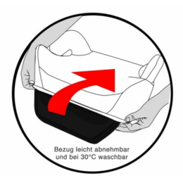 Podsedák do auta 22-36 kg Ledové království