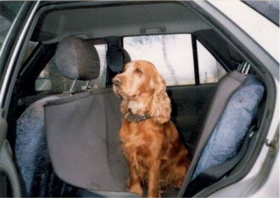 Deka pro psa do auta z čalounické látky, rozměr 150 x 140 cm.