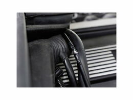 Kuna v automobilu je problém. Jak vyzrát na kuny v autě?