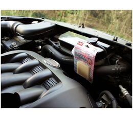 Kuna v automobilu je problém. Jak vyzrát na kuny v autě?