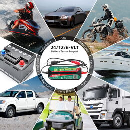 Bluetooth monitoring baterie CARCLEVER 6-24V