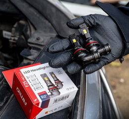 LED autožárovky F25 PRO BLACK HB4 bílá Canbus, 12/24V, 68W, 7646 lm - 2 ks