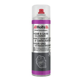 Čistič EGR ventilu a karburátoru (500 ml) HOLTS