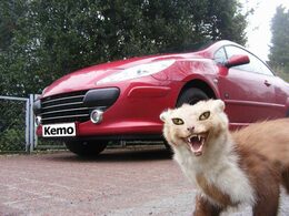 Odpuzovač kun a hlodavců voděodolný - M180  Kemo