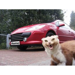 Odpuzovač kun M100N