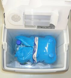 Autolednička Ezetil E32 12/230V A++ 30L fixace pásem, šedivá + Bluetooth teploměr ZDARMA