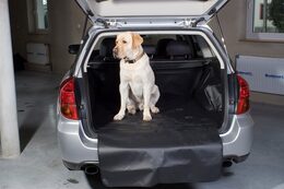 Toyota Verso, od r. 2009, BOOT- PROFI CODURA